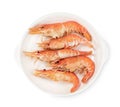 Roasted river shrimp common with dish isolated on white background ,grilled prawn ,include clipping path Royalty Free Stock Photo