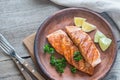 Roasted salmon steak with fresh parsley Royalty Free Stock Photo