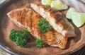 Roasted salmon steak with fresh parsley Royalty Free Stock Photo