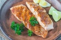 Roasted salmon steak with fresh parsley Royalty Free Stock Photo