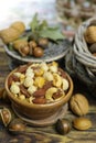 Roasted salted nuts mix, snack from macadamia, walnotes and almonds Royalty Free Stock Photo