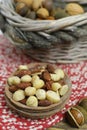 Roasted salted nuts mix, snack from macadamia, walnotes and almonds Royalty Free Stock Photo