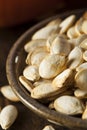 Roasted Salty Pumpkin Seeds