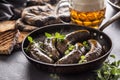 Roasted sausages in pan with bread herbs and draft beer. Royalty Free Stock Photo