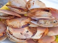 Roasted scallops Royalty Free Stock Photo