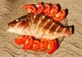 Roasted sea bass on a sand. Home cooking. India