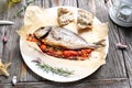 Roasted sea bream served with vegetables, on a plate, top view. Whole, baked fish on a parchment paper. Royalty Free Stock Photo