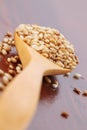 Roasted sesame seeds Royalty Free Stock Photo