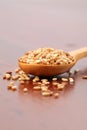 Roasted sesame seeds Royalty Free Stock Photo