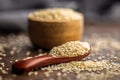 Roasted sesame seeds on spoon on wooden table Royalty Free Stock Photo