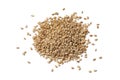 Roasted sesame seeds Royalty Free Stock Photo