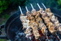 Roasted shish kebab or souvlaki, strung on skewers on hot charcoals in grill. Juicy turkey meat is being cooked on the backyard of Royalty Free Stock Photo