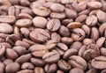 Roasted sidamo coffee beans background