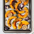 Roasted Squash Slices with Red Onions Royalty Free Stock Photo