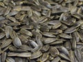 Roasted sunflower seeds closeup. Royalty Free Stock Photo
