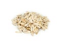 Roasted Sunflower Seeds Salted, In Shell Royalty Free Stock Photo