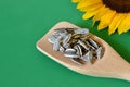 Roasted sunflower seeds Royalty Free Stock Photo