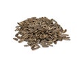 Roasted Sunflower Seeds Unsalted, In Shell Royalty Free Stock Photo