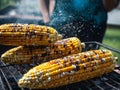 Roasted sweet corns on the grill