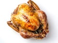 Roasted Thanksgiving turkey isolated on white background Royalty Free Stock Photo