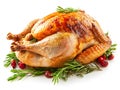 Roasted Thanksgiving turkey isolated on white background Royalty Free Stock Photo