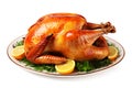 Roasted Thanksgiving turkey isolated on white background. Oven-baked turkey on plate