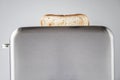 Roasted toast bread popping up of stainless steel retro toaster for breakfast preparation on a gray background. Royalty Free Stock Photo