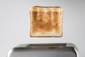 Roasted toast bread popping up of stainless steel retro toaster for breakfast preparation on a gray background. Royalty Free Stock Photo