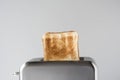 Roasted toast bread popping up of stainless steel retro toaster for breakfast preparation on a gray background. Royalty Free Stock Photo