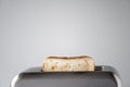 Roasted toast bread popping up of stainless steel retro toaster for breakfast preparation on a gray background. Royalty Free Stock Photo