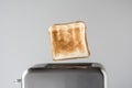 Roasted toast bread popping up of stainless steel retro toaster for breakfast preparation on a gray background. Royalty Free Stock Photo