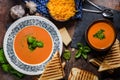 Roasted tomato soup Royalty Free Stock Photo