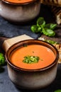 Roasted tomato soup Royalty Free Stock Photo