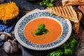 Roasted tomato soup Royalty Free Stock Photo