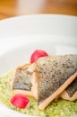 Roasted trout with risotto Royalty Free Stock Photo