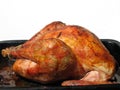 Roasted Turkey Royalty Free Stock Photo