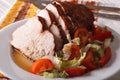 Roasted turkey breast and fresh vegetables closeup. Horizontal Royalty Free Stock Photo