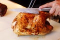 Roasted turkey or chicken basted with oil and herbs and cooked in an oven, christmas festive special