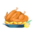 Roasted Turkey with fried potatoes dish on thanksgiving Royalty Free Stock Photo