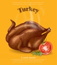 Roasted turkey isolated Vector. Fresh steaming hot meal realistic 3d illustrations