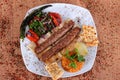 Roasted turkey kebabs with fresh pepper bread and vegetables on a wooden table filled with Turkish spices Royalty Free Stock Photo