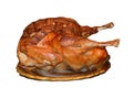 roasted turkey on plate on isolated white background. Thanksgiving diner Royalty Free Stock Photo