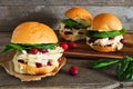 Roasted turkey sandwiches with cranberry sauce and cheese against wood Royalty Free Stock Photo