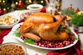 roasted turkey with stuffing, cranberries on a festive platter Royalty Free Stock Photo