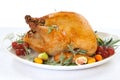 Roasted Turkey on tray over white Royalty Free Stock Photo