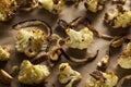 Roasted White Organic Cauliflower Royalty Free Stock Photo