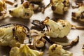 Roasted White Organic Cauliflower Royalty Free Stock Photo