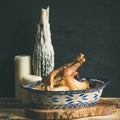 Roasted whole chicken for Christmas, black wall background, squaare crop Royalty Free Stock Photo