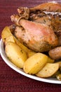 Roasted whole chicken on a plate Royalty Free Stock Photo