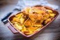 Roasted whole chicken with potatoes in baking dish. Tasty food at home on the kitchen counter Royalty Free Stock Photo